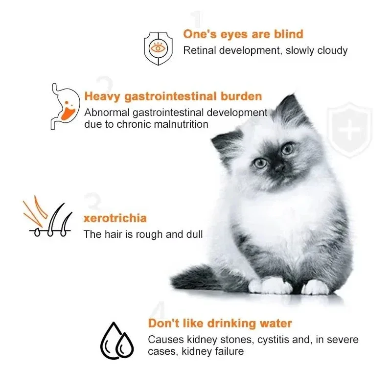 10 adet Kedi Şeritleri Evcil H - Snacks Food Labels incelemesi ve fiyatı