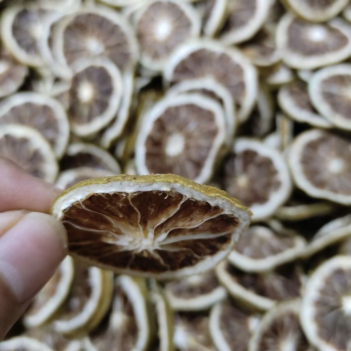Premium Doğal Kurutulmuş Limon - Dried Fruit Mix incelemesi ve fiyatı